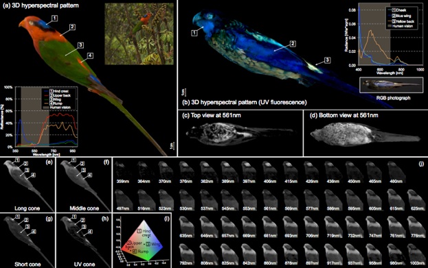 3DImagingSpectroscopy2