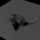 blk_deform_02_bea01_pass_broadband_button165px