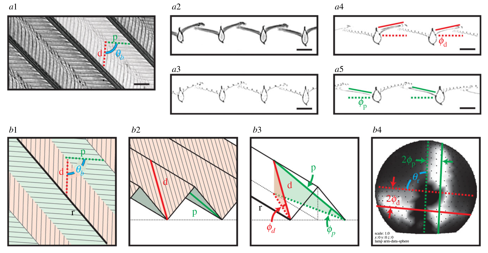 SuperBlack_41467_2017_2088_Fig3