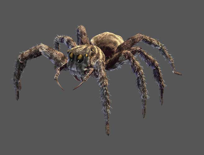 SuperBlack_41467_2017_2088_Fig3