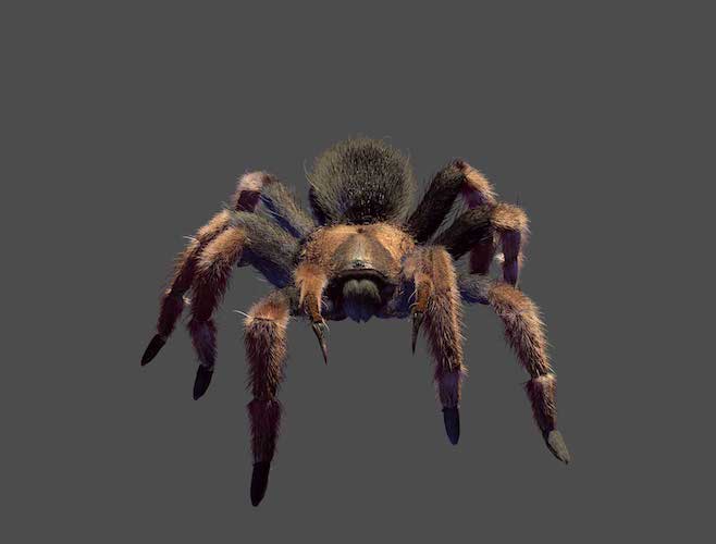 SuperBlack_41467_2017_2088_Fig3