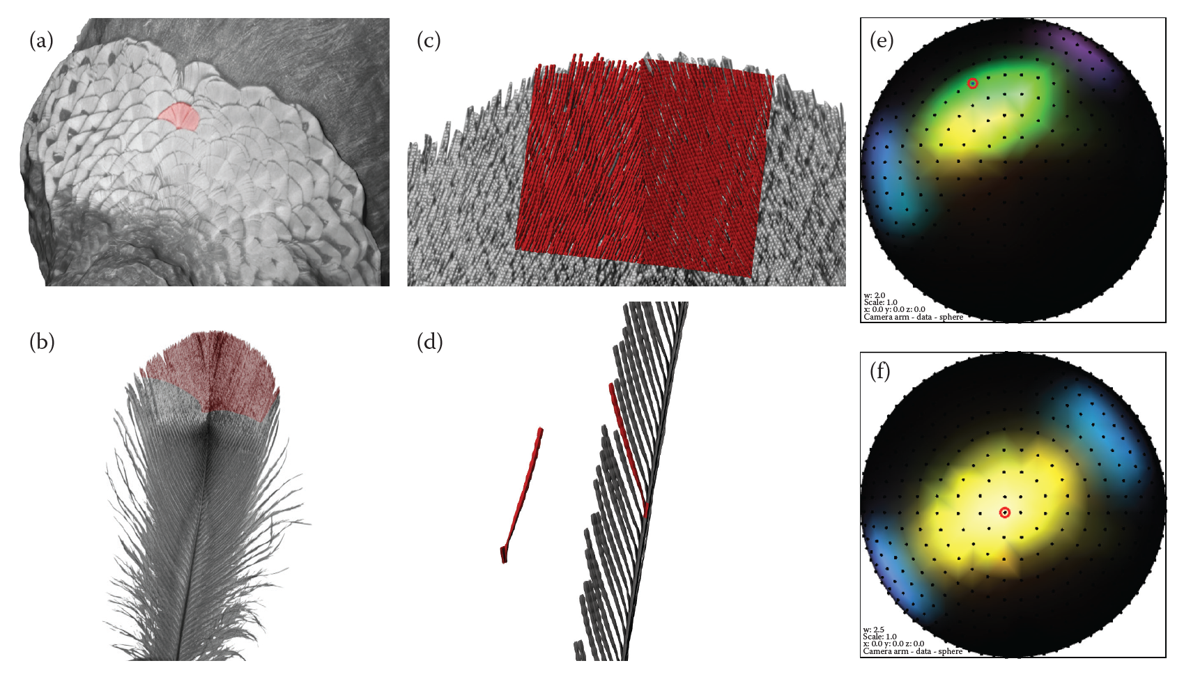 SuperBlack_41467_2017_2088_Fig3