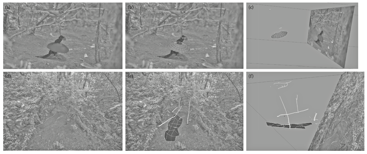 SuperBlack_41467_2017_2088_Fig3