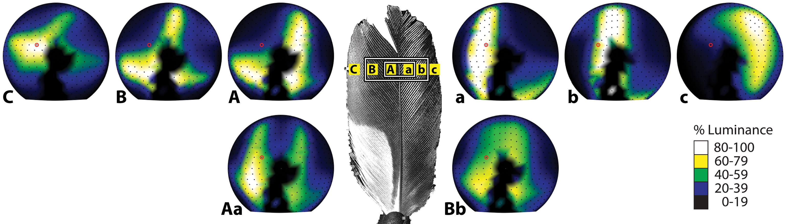 SuperBlack_41467_2017_2088_Fig3