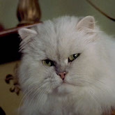 fh27_trim_broadband_button165px