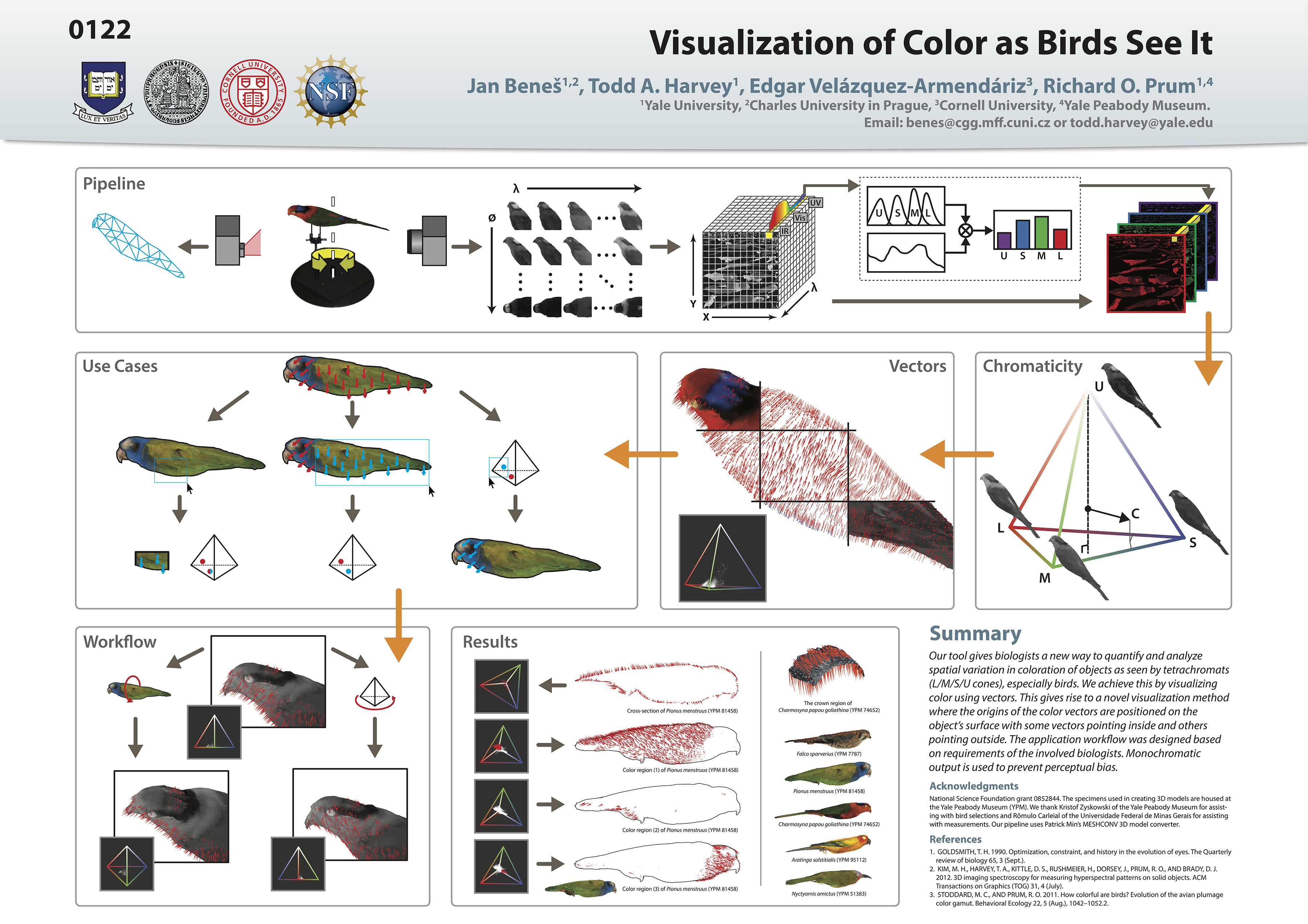 visualizationOfColorAsBirdsSeeIt_poster_3600px